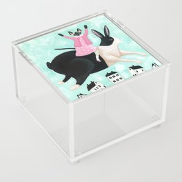 The Siamese Cat & The Rabbit Acrylic Box