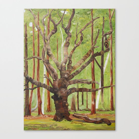 Ancient Oak Canvas Print