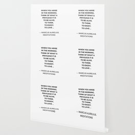 Marcus Aurelius Wallpaper For Any Decor Style Society6
