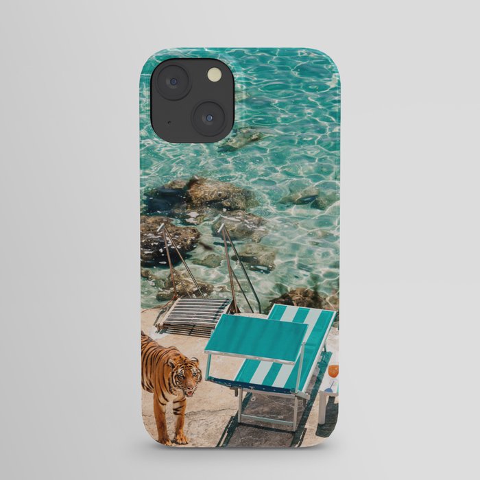 Beach Tiger iPhone Case