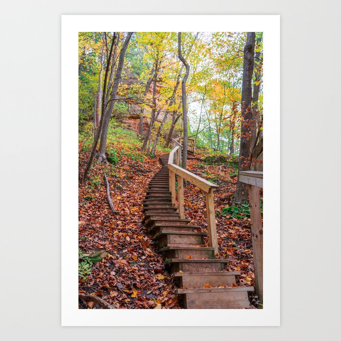 Fall Colors and Stairs in the Forest | Nature Photography Art Print