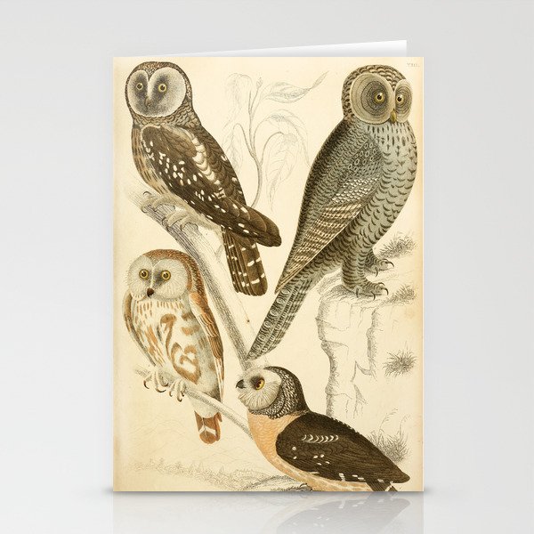 Owls from The Edinburgh Journal, 1835 (benefitting The Nature Conservancy) Stationery Cards
