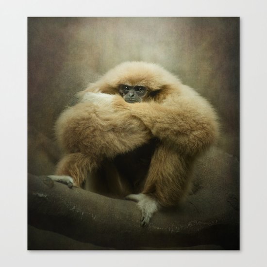 Study of a Gibbon - The Thinker Canvas Print