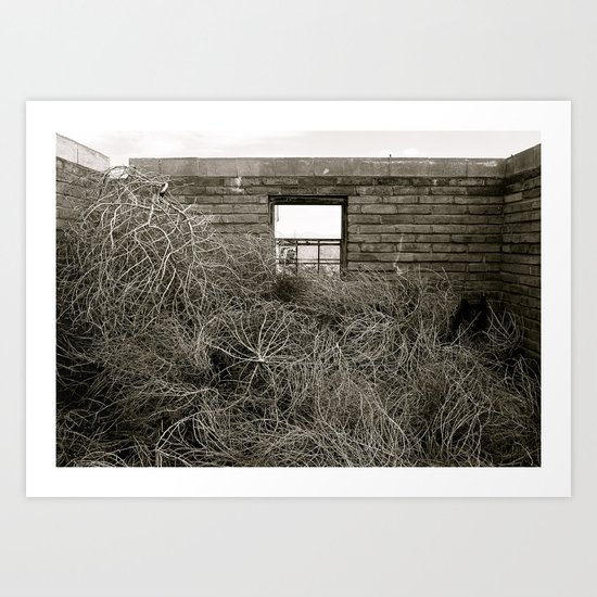 Tumbleweed Art Print