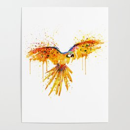 Flying Parrot watercolor Poster