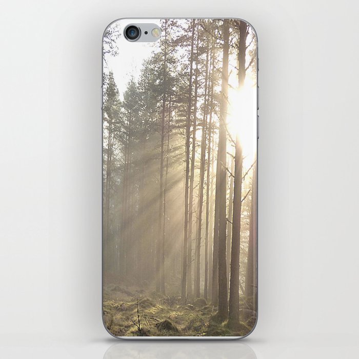 Winter Sunbeams in a Scottish Highlands Pine Forest iPhone Skin