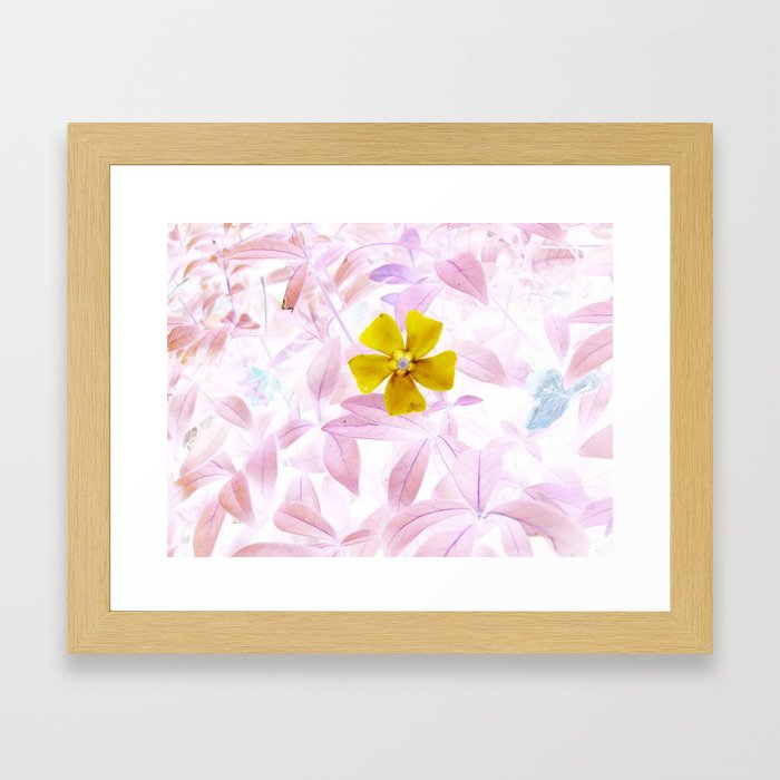 Flower Invert Framed Art Print