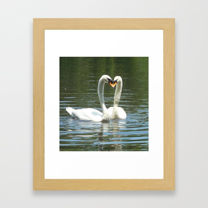 Swan Lake Framed Art Print
