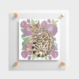Bengal Kitten and the Roses Floating Acrylic Print
