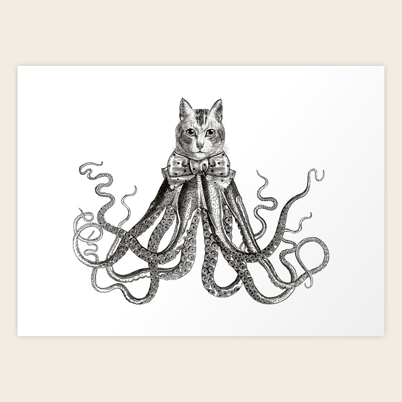 Octopussy Hybrid Cat And Octopus Vintage Animals Black And