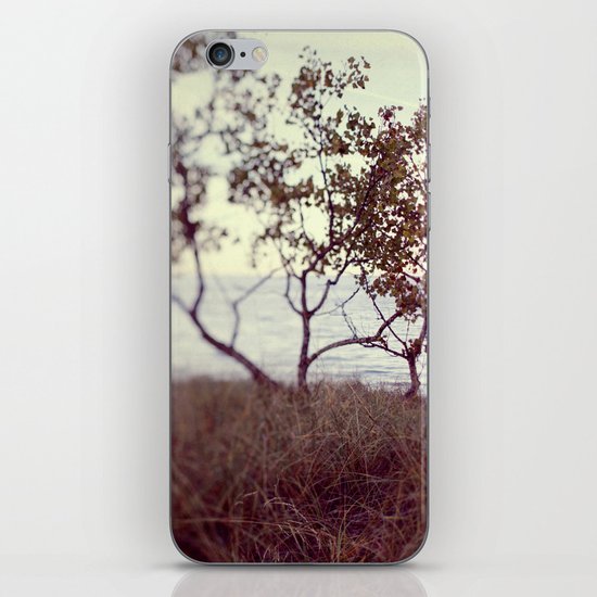 The Coast #2 iPhone & iPod Skin