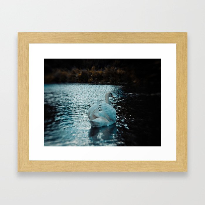 The Swan (2012) Framed Art Print