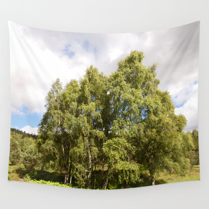 Summer Birch Trees in the Scottish Highlands Wall Tapestry