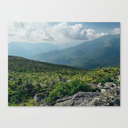 Summer in the Great Gulf Wilderness Canvas Print