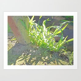 Grass Art Print | Nature, Photo 