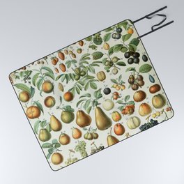 Vintage Fruit Poster 2 - Adolphe Millot Picnic Blanket