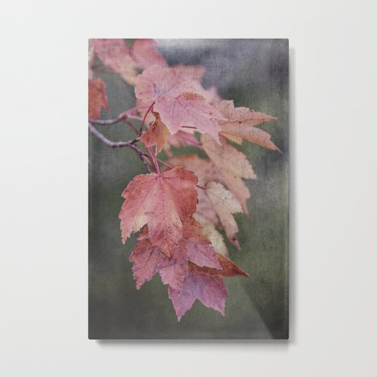 fall cascade Metal Print