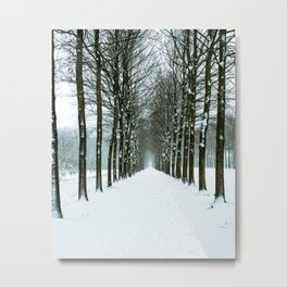 snowy path Metal Print
