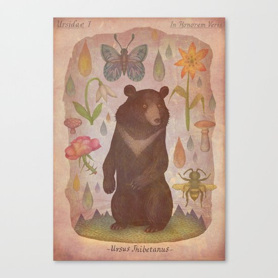 Asian Black Bear Canvas Print