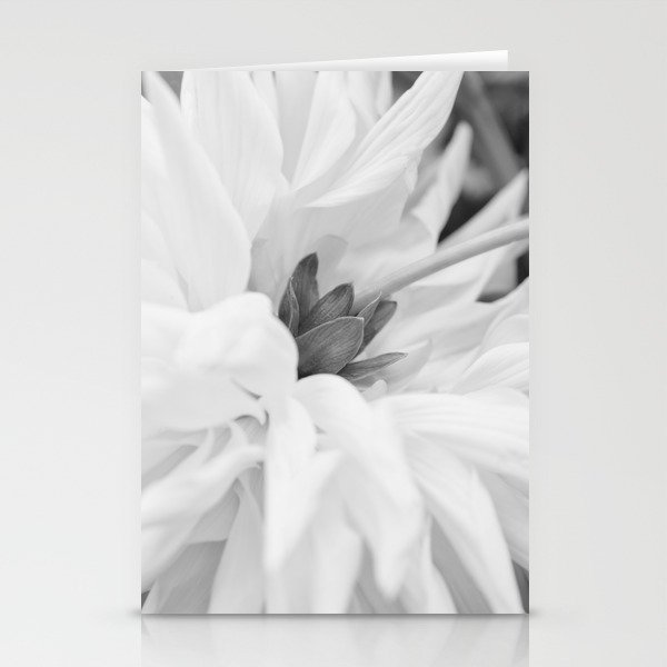 Minimalistic Dahlia Flower Black And White  Stationery Cards