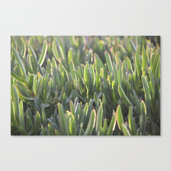 An Old Fairy Tale Canvas Print