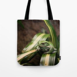 Frog Watching the World Go By Tote Bag