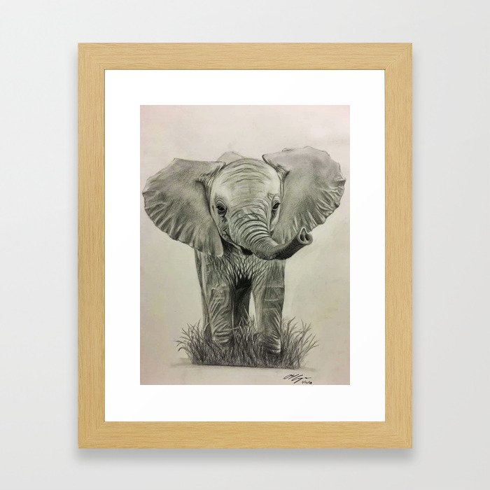 Baby Elephant Pencil Drawing Framed Art Print By Abelcam Society6
