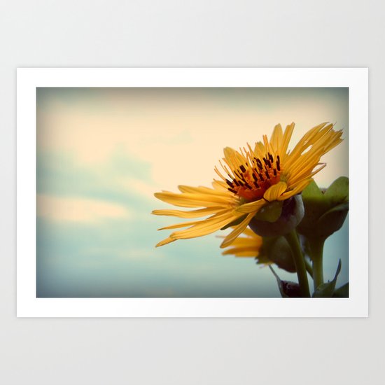Facing the Sky Art Print