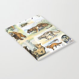 Adolphe Millot "Mammals" 1. Notebook