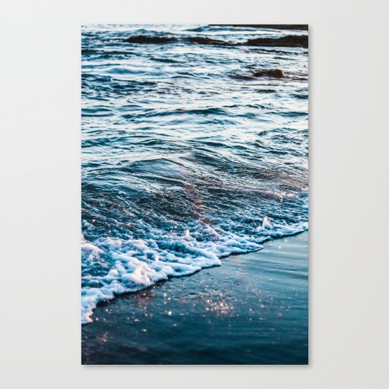 Drifting Canvas Print