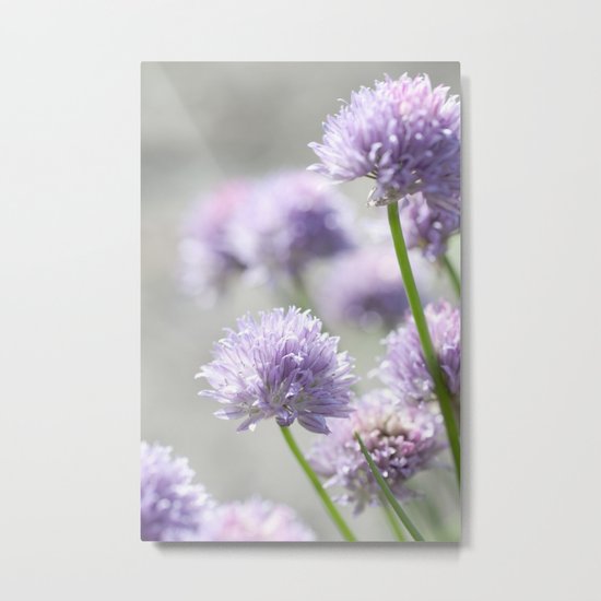 I dreamt of fragrant gardens Metal Print