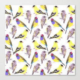 Birds in tints and shades of yellow Canvas Print