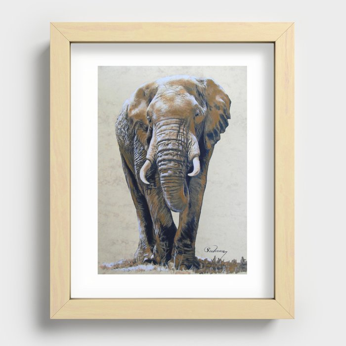 African Elephant Recessed Framed Print
