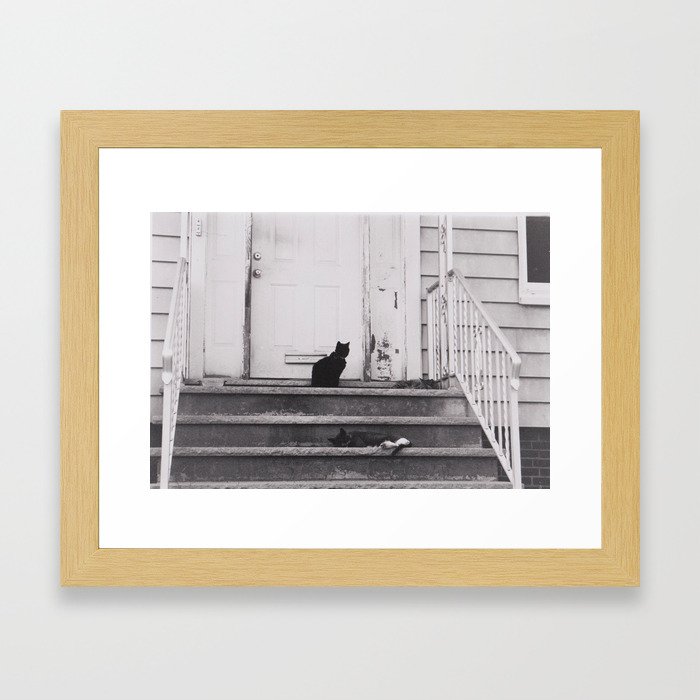 Cat Nap Framed Art Print