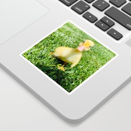 Vanilla the Duckling Photograph Sticker