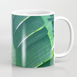 Palm Leaves Lit By Early Morning Shadows Coffee Mug