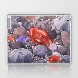 Rocks Laptop & iPad Skin