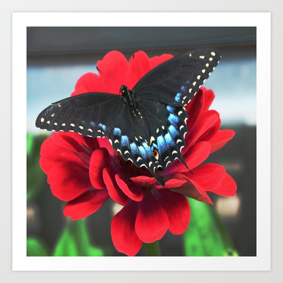 RED BLUE AND BLACK Art Print