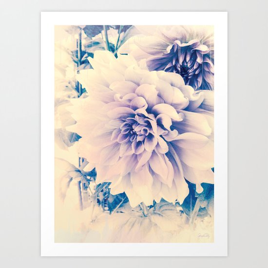 Delicate Beauty (Vintage Blue Lavender Dahlias) Art Print