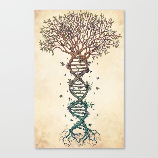 The Fabric of Life (Alternative) Canvas Print