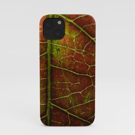 Autumn texture iPhone Case