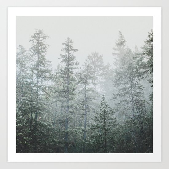 Deep Forest II Art Print