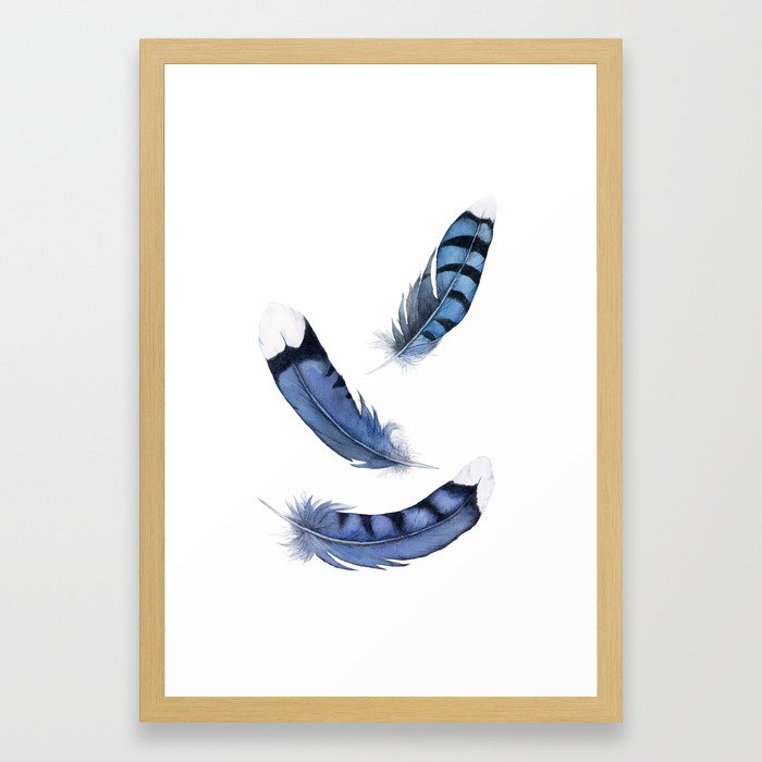 Falling Feather Blue Jay Feather Blue Feather Watercolor