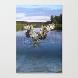Fish Hawk Canvas Print