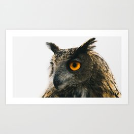 eagle owl owl predator bird beak eyes Art Print