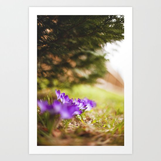 Alice in Wonderland Art Print