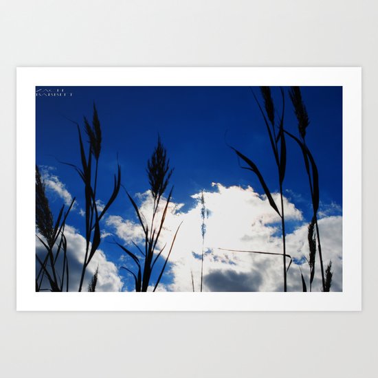 Reeds in the Sun Art Print