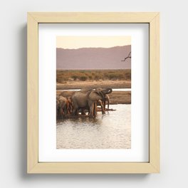 Elephants At Watering Hole Recessed Framed Print