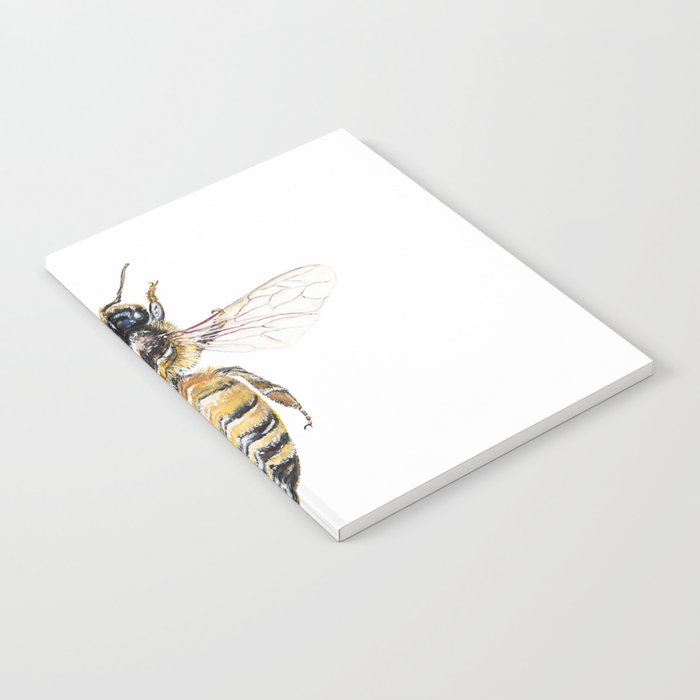 Apis mellifera, the banded muse Notebook