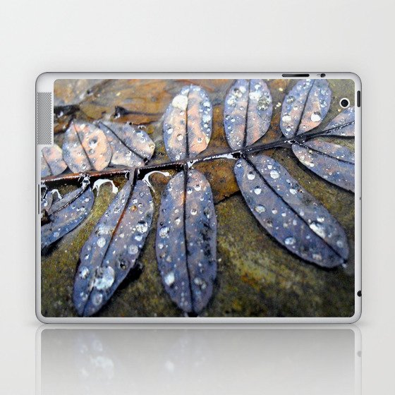 Rainy Leaves Laptop & iPad Skin